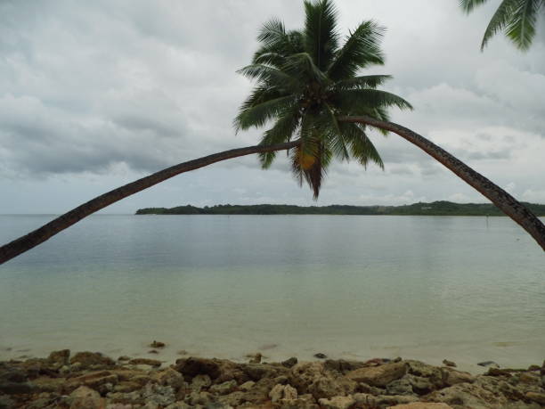 istock Meeting point for the coconut palm trees 2162113850