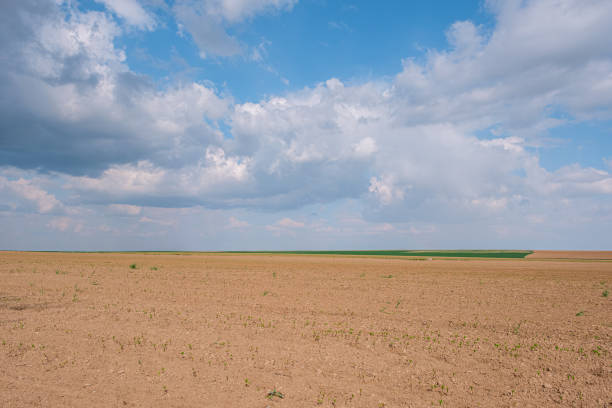 istock Newly cultivated farmland under a cloudy blue sky. 2162118274