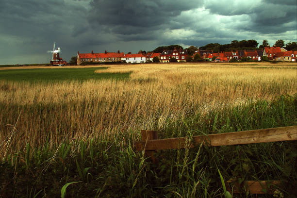 early morning light hits the reeds in from of the windmill at Cley next the Sea, North Norfolk