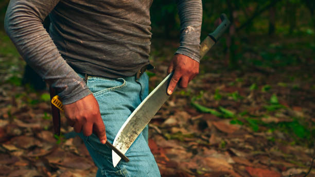 istock Latin man working on cocoa farm. 2162122061