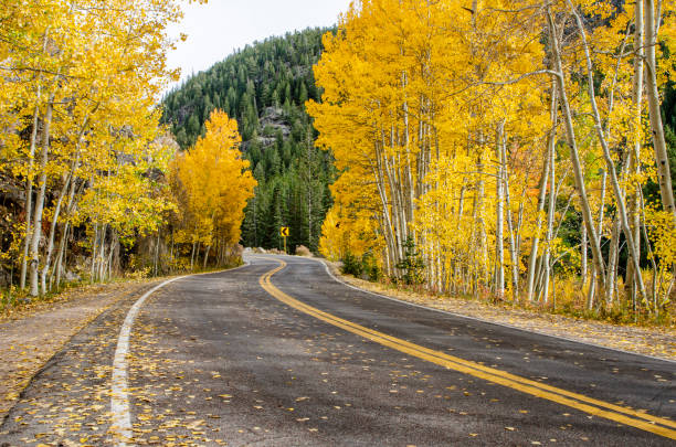 istock Independence Pass in the Colorado Rocky Mountains 2162122109