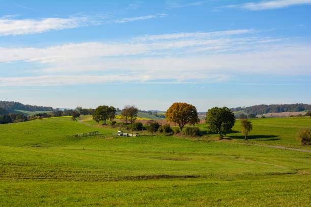 istock Landscape with meadow , blue sky and  trees 2162126328