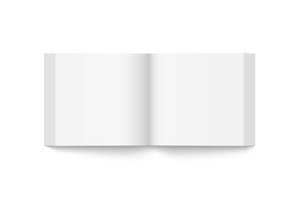 istock Vector mockup of paperback square book spread with white cover isolated. 2162127130