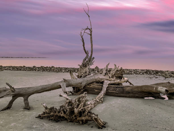 Aftermath from a flood with debris resting on a beach before entering the sea before clean up operation