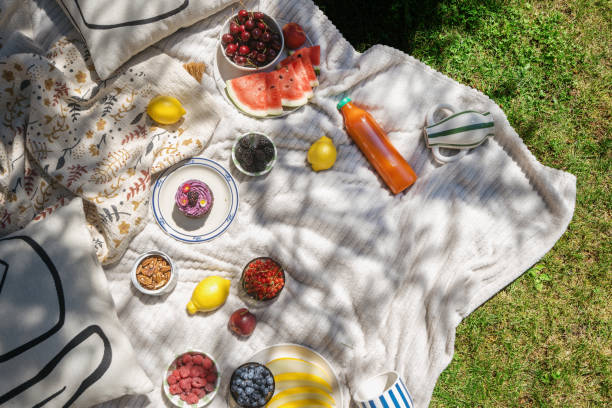 istock Summer picnic blanket with fruit and snacks on garden grass 2162129634