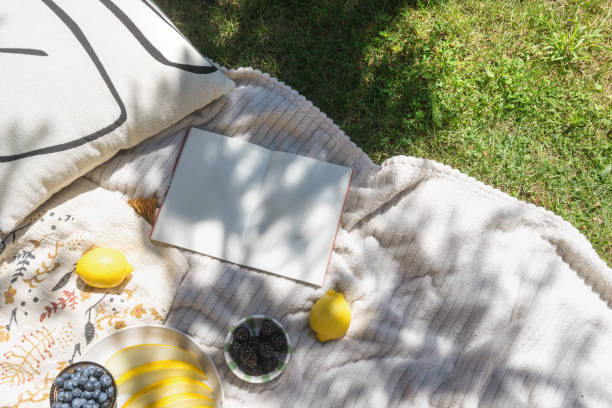 Summer picnic blanket with lemons and berries close to open book with empty pages
