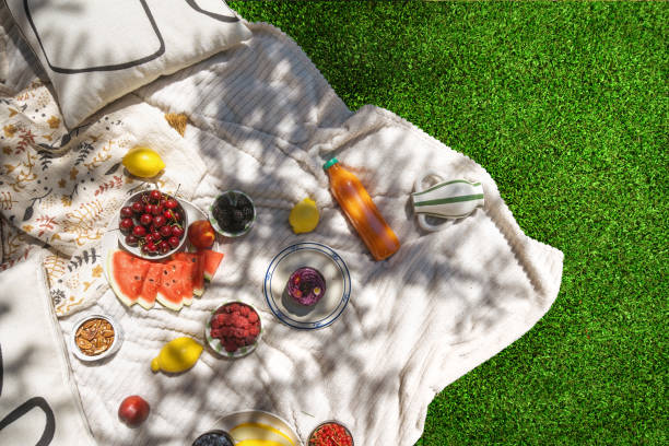 istock Picnic blanket with fruit and juice, copy space on grass 2162129652