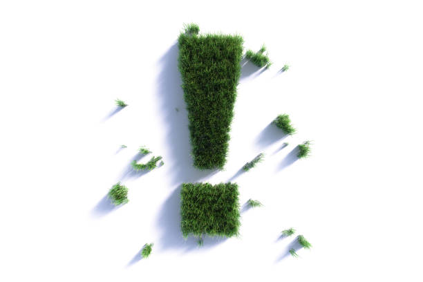 Exclamation point made of green grass on white background. Horizontal composition with clipping path. Sustainability and green energy, zero waste concept.