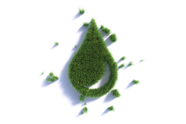 Water drop symbol made of green grass on white background. Horizontal composition with clipping path. Sustainability and green energy, zero waste concept.