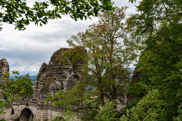 istock A view of a forest with a bridge in the foreground 2162133209