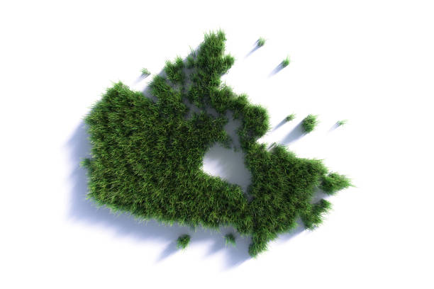 Canada map made of green grass on white background. Horizontal composition with clipping path. Sustainability and green energy, zero waste concept.