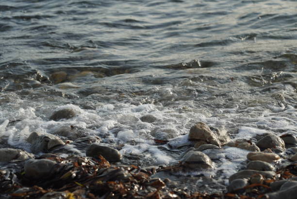 istock Stones in sea foam 2162136065