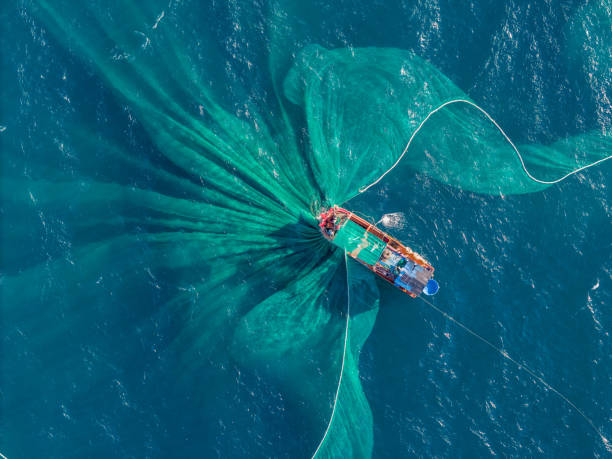 Aerial view of traditional wooden boat and fishermen are fishing anchovies in Yen Island, Phu Yen province, Vietnam Aerial view of traditional wooden boat and fishermen are fishing anchovies in Yen Island, Phu Yen province, Vietnam. Travel and landscape concept boat-fishing-net stock pictures, royalty-free photos & images