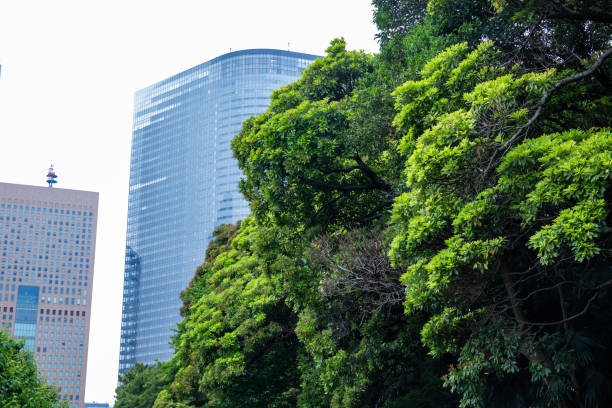 istock Building and forest in tokio 2162136980