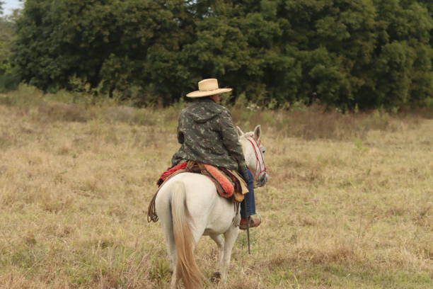 cowboy on horseback taking care of cattle
