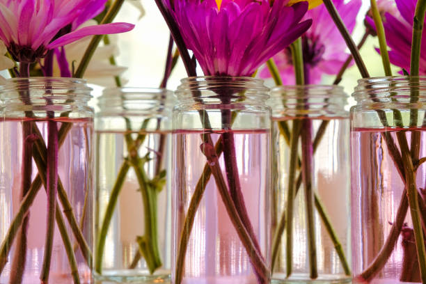 istock Pink flowers in small galss vases wuth pastel colored water 2162138513