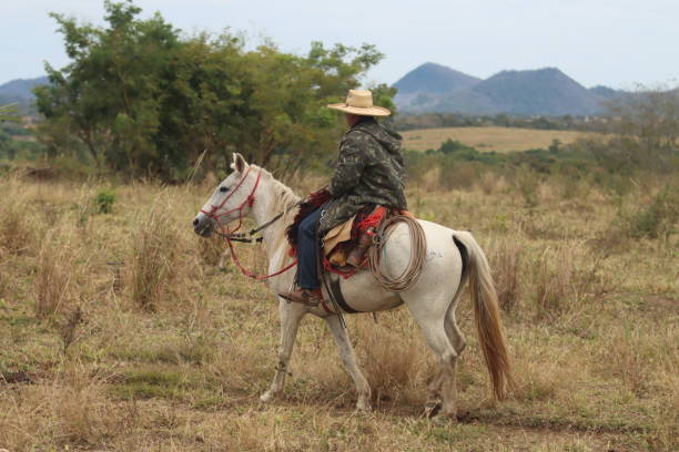 istock cowboy taking care of cattle 2162138758