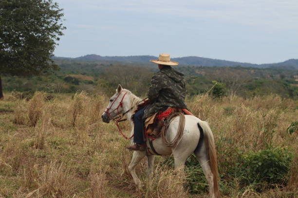 istock cowboy taking care of cattle 2162138768