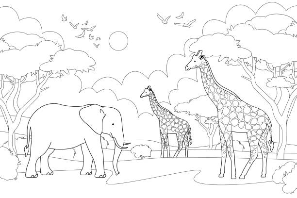 African animals landscape, elephant and giraffe coloring page. African animals landscape coloring page. Elephant and giraffe line art illustration. Nature of africa wildlife. Not merged, separate elements. sketches of elephants background stock illustrations