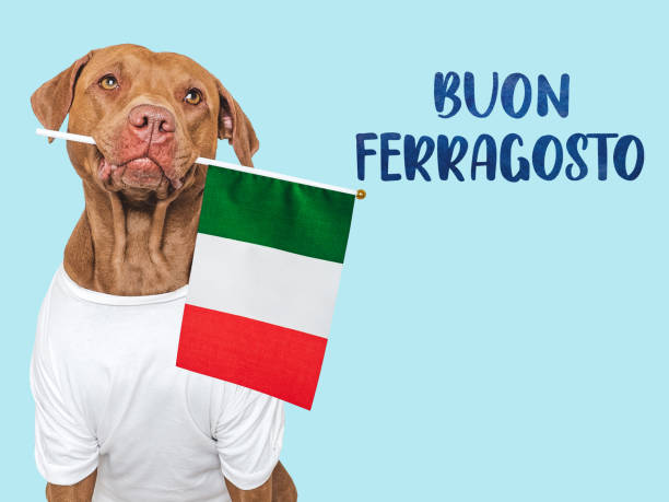 istock Buon Ferragosto. Cute puppy and Italian Flag 2162139171
