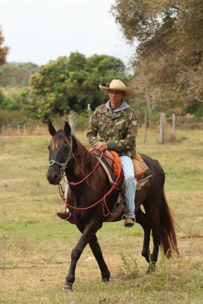istock cowboy taking care of cattle 2162140316