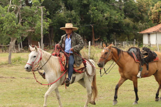 istock cowboy taking care of cattle 2162140318