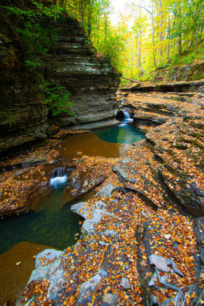 Swimming Hole at Buttermilk Falls State Park, Ithaca New York