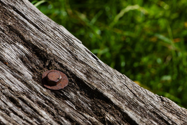 July 12, 2024: Section of an old wooden bench in a forest. Blurred grass can be seen in the background