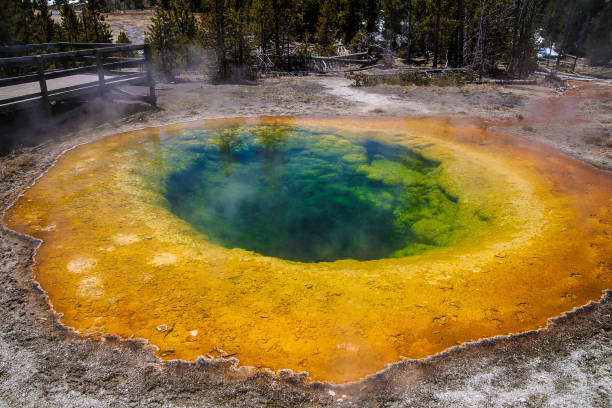 An amazing yellow-green crater in Yellowstone National Park