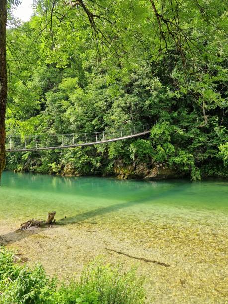 istock green river Idrijca - near Idrija 2162143620