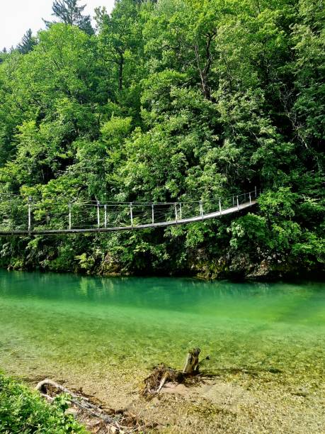 istock green river Idrijca with hangingbridge - near Idrija 2162143626