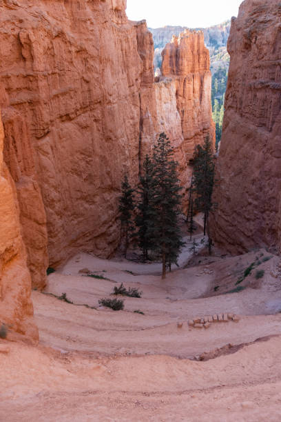 istock A winding path down the Navajo Trail in Bryce Canyon National Park 2162146052