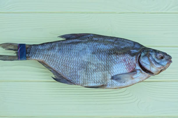 istock food from one gray dry salted fish roach 2162149031