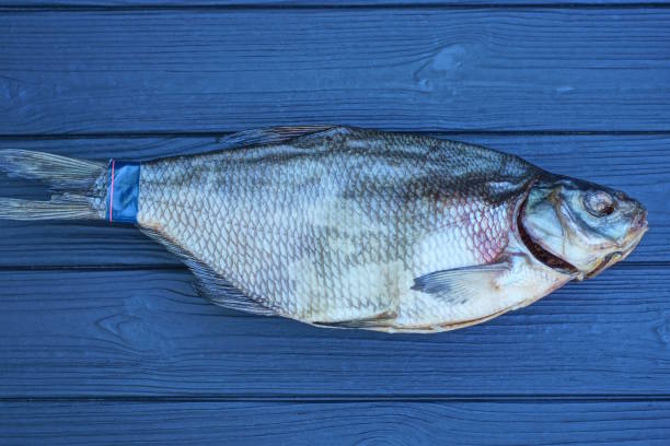 istock food from one gray dry salted fish roach 2162149032