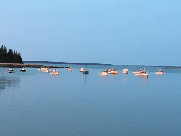 istock Lobster boats in Conary Cove 2162149389