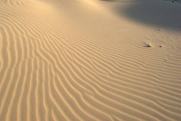 istock Medanos de Coro, Falcon State. 2162153819