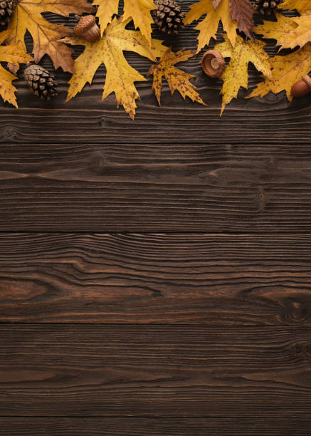Autumn Background with Yellow Maple Leaves Border on Brown Wooden Table With Copy Space
