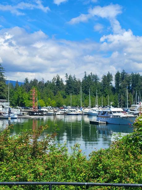istock A view just outside Devonian Harbor Park will net you an extraordinary visual of the Vancouver Rowing Club and it's pristine waterway with marina, all backdropped by Stanley Park and  it's treasures - both public and hidden. Exploration awaits! 2162154453