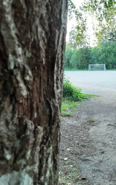 Goal with damaged net behind blurred tree trunk. Gravel field,bush and forest.