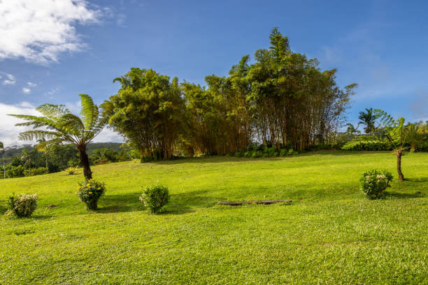 istock Baha'i House of Worship Samoa 2162163150