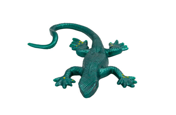 istock Rubber lizard on a white background. Antistress toy. For text. 2162165752
