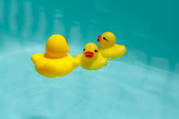 istock Cute yellow rubber ducks floating on blue water 2162167324