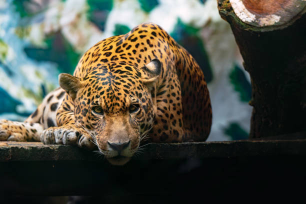 photo taken behind glass