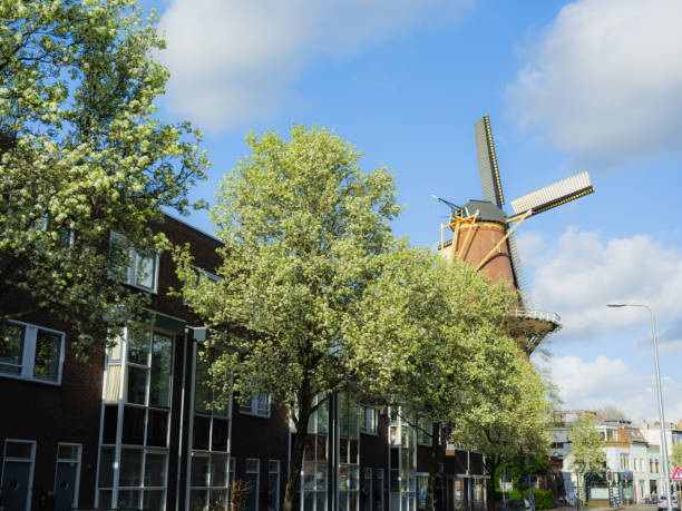 Windmill in Utrecht surrounded by trees in bloom in spring