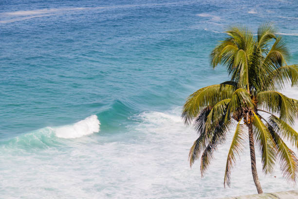 view of Joatinga Beach in Rio de Janeiro, Brazil.