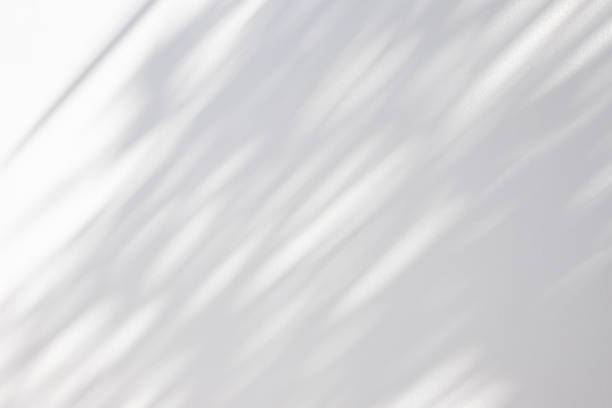 istock Abstract natural tree leaves shadow on white wall background 2162174504