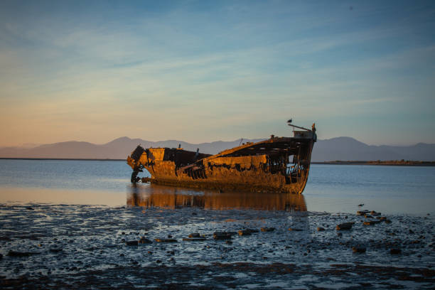 istock Abandoned Boat Motueka 2162182529