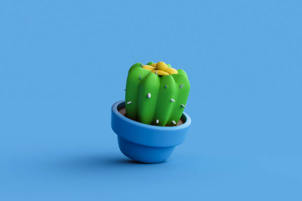 cactus in a pot