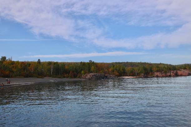 istock Colorful tree Autumn in black beach park, Minnesota 2162188965