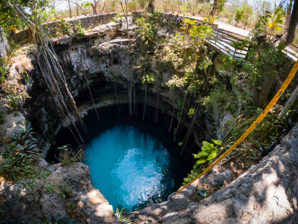 Dramatic roots from ceiba trees hang over and into the dramatic opening of the Oxman cenote, a dramatic swimming hole for tourists and locals alike in Valladolid, Yucatan, Mexico